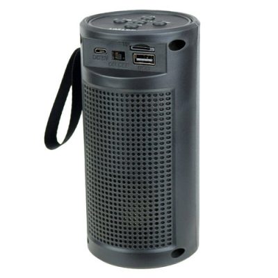 Portable speaker ZQS1201